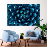 Cactus Аgave Canvas Print SKU 10181