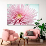 Pink Chrysanthemum Canvas Print SKU 10134