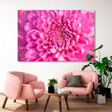 Pink Chrysanthemum Canvas Print SKU 10144