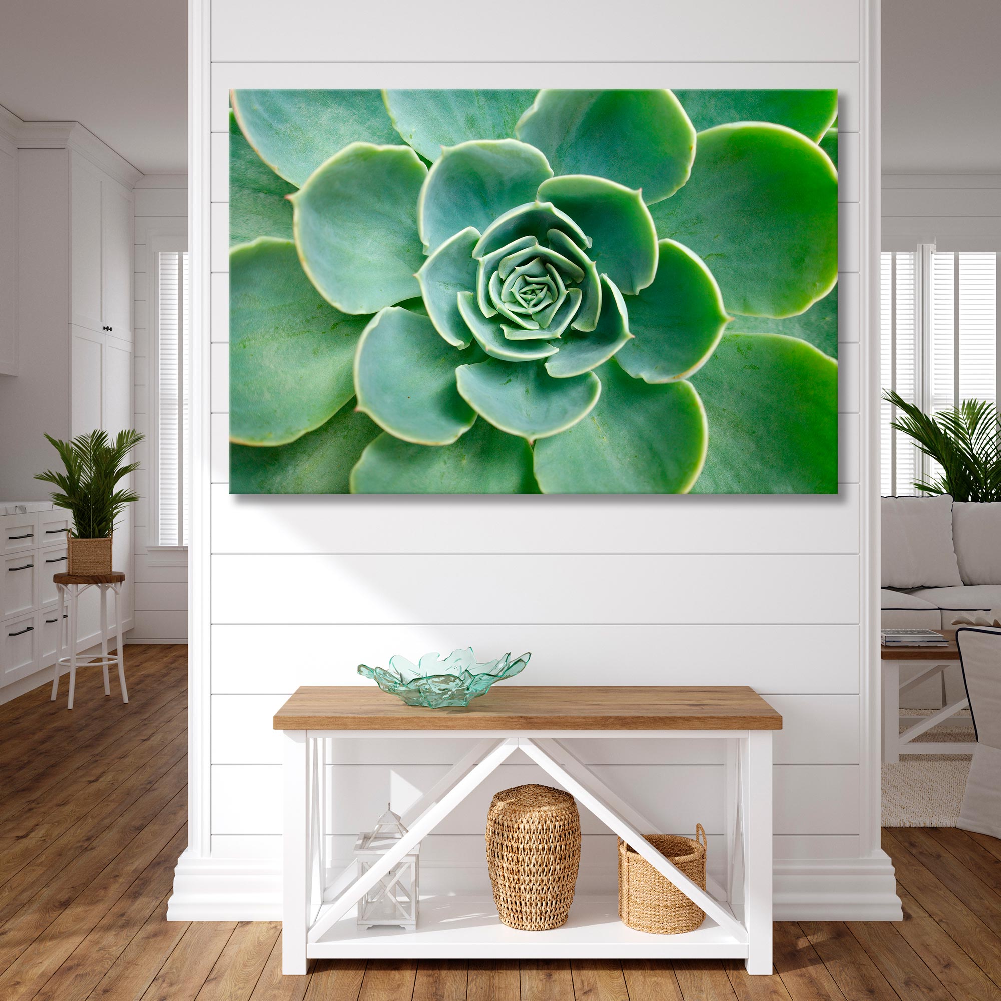 Succulent Рlant Canvas Print SKU 10135