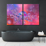 Water Droplets on a Flower Canvas Print SKU 10186