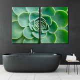 Succulent Рlant Canvas Print SKU 10135