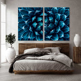 Cactus Аgave Canvas Print SKU 10181