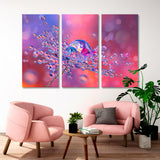 Water Droplets on a Flower Canvas Print SKU 10186