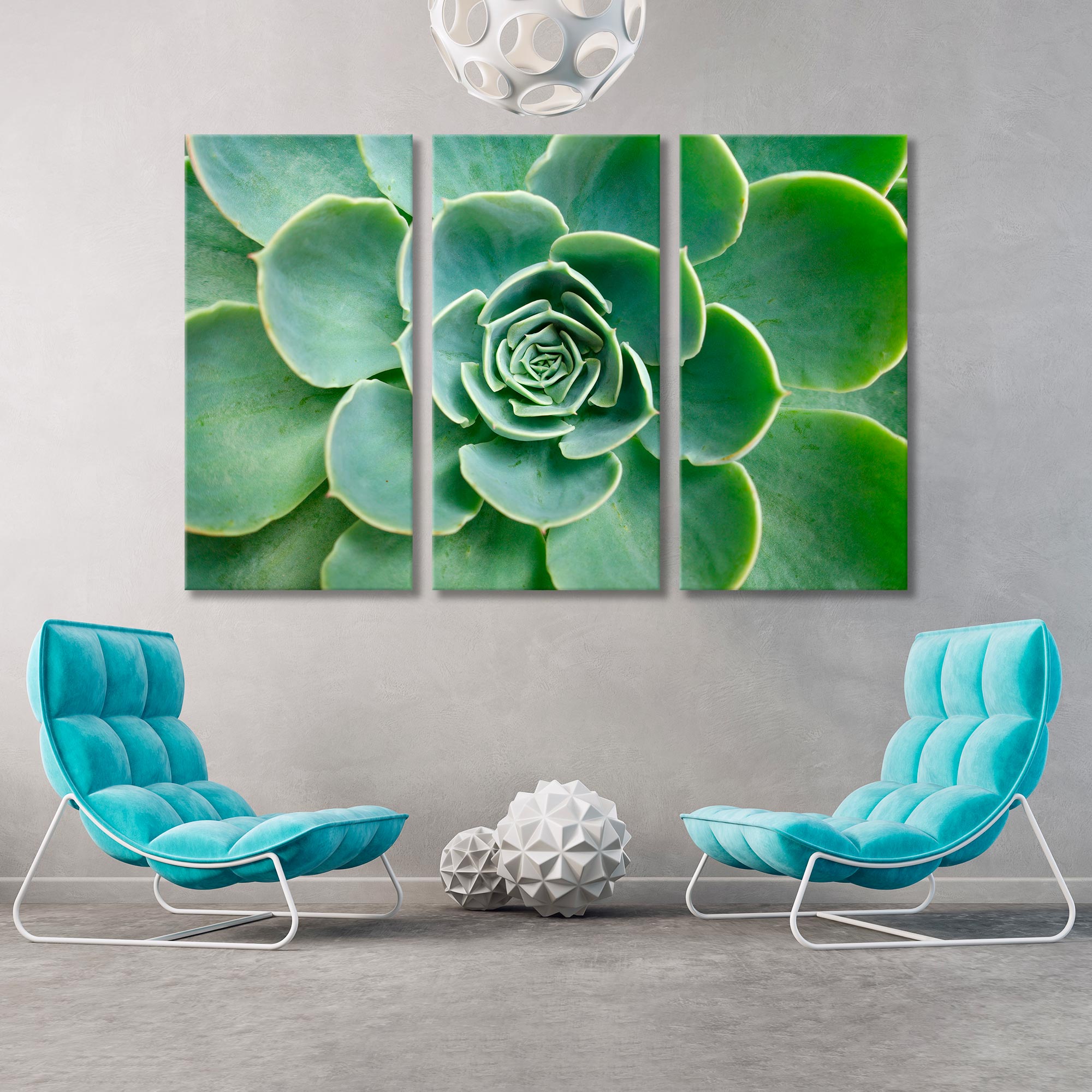 Succulent Рlant Canvas Print SKU 10135