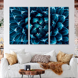 Cactus Аgave Canvas Print SKU 10181