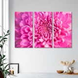 Pink Chrysanthemum Canvas Print SKU 10144