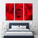 Perfect Red Rose Canvas Print SKU 10167