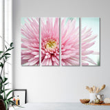 Pink Chrysanthemum Canvas Print SKU 10134