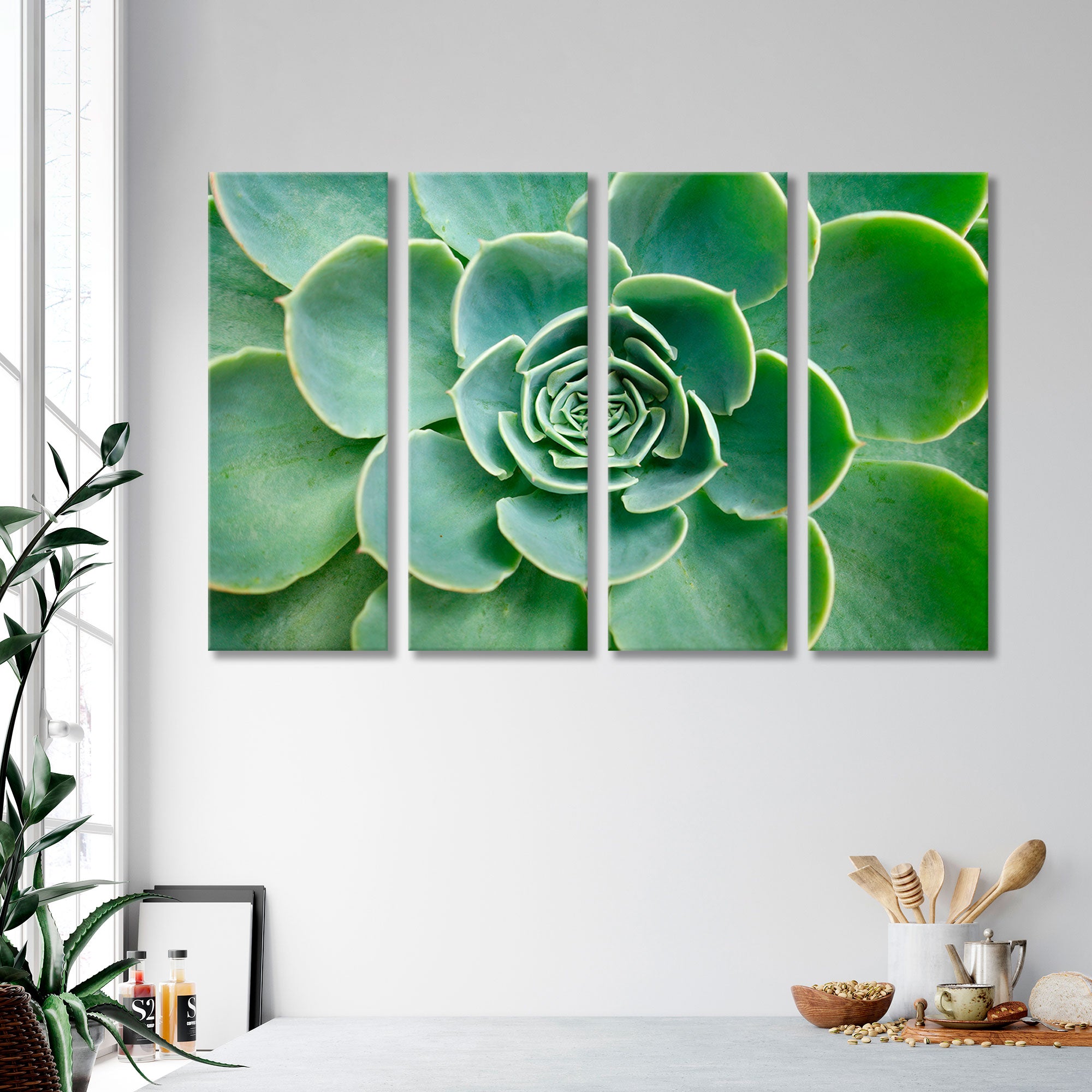 Succulent Рlant Canvas Print SKU 10135