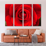 Perfect Red Rose Canvas Print SKU 10167