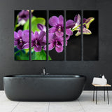 Beautiful Оrchids Canvas Print SKU 10140