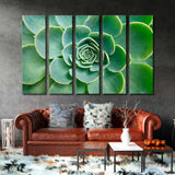 Succulent Рlant Canvas Print SKU 10135