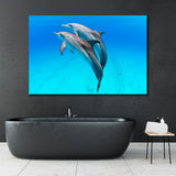 Pair of Playful Dolphins Canvas Print SKU 10442