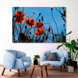 Red Poppies and Blue Sky Canvas Print SKU 10871