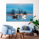 Black and White Swans on the Lake Canvas Print SKU 10779