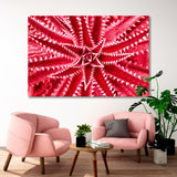 Abstract Red Cactus Canvas Print SKU 10737