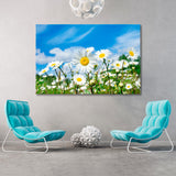 Field with Daisies Canvas Print SKU 10342