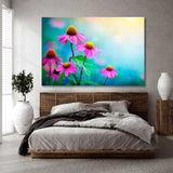 Delicate Pink Echinacea Flowers Canvas Print SKU 10357