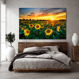 Sunflower Field Canvas Print SKU 10121