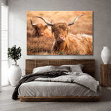 Highland Cattle on Exmoor Canvas Print SKU 10626