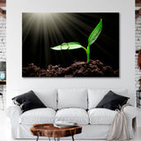 Sapling in Sunlight Canvas Print SKU 10447