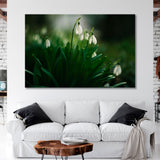 Snowdrop Flowers Canvas Print SKU 10484