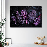 Red Cabbage Leaves Black Background Canvas Print SKU 10498