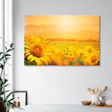 Blooming Sunflower Field Canvas Print SKU 10594