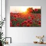 Poppy Field at Sunset Canvas Print SKU 10104