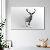 Red Deer Black and White Canvas Print SKU 10282