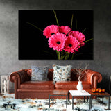 Pink Gerberas on a Black Background Canvas Print SKU 10356