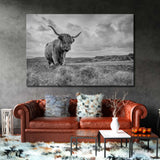 Highland Cow Canvas Print SKU 10146