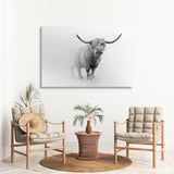 Scottish Cow White and Black Canvas Print SKU 10311