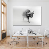 Buffalo Black and White Canvas Print SKU 10284