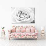 Rose in Black and White Canvas Print SKU 10168