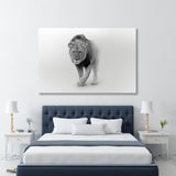 Proud Lion Black and White Canvas Print SKU 10290