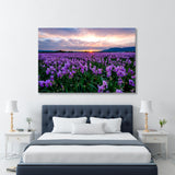 Iris Field in Provence Canvas Print SKU 10944