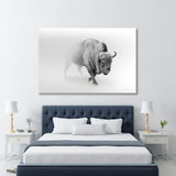 Wild Bison Buffalo Black and White Canvas Print SKU 10273