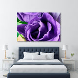 Purple Eustoma Close Up Canvas Print SKU 10354