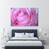 Pink Rose Canvas Print SKU 10349