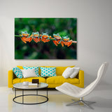 Beautiful Tree Frogs Canvas Print SKU 10865