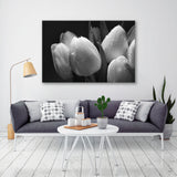 Bouquet of White Tulips Black and White Canvas Print SKU 10466