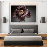 Dark Peony Close-up Canvas Print SKU 10537