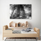 Palm Leaf Black White Canvas Print SKU 10436