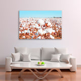 Cotton Fields Canvas Print SKU 10736