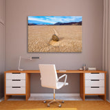 Playa Racecourse in Death Valley National Park Canvas Print SKU 10902