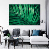 Palm Leaves with Raindrops Canvas Print SKU 10734