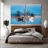 Black and White Swans on the Lake Canvas Print SKU 10779