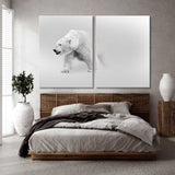 Polar Bear Black and White Canvas Print SKU 10270